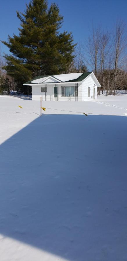 Brevort Chapel Hill Motel מראה חיצוני תמונה
